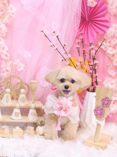 20250313むぎちゃん